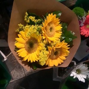 Meet your Posher, LadyBee